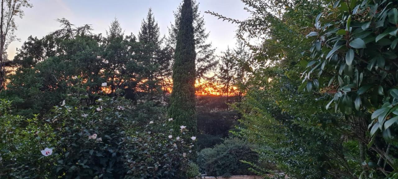 فيلا L'Ecrin De Sarlat المظهر الخارجي الصورة